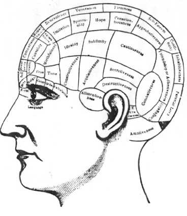 phrenological map of the faculties
